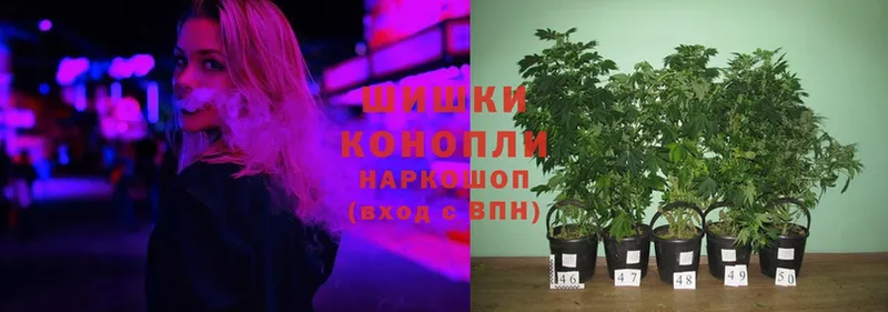 Бошки Шишки OG Kush  наркота  Курлово 